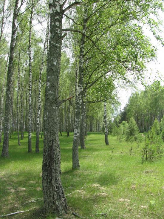 Сутоки з panoramio.com - Сутоки