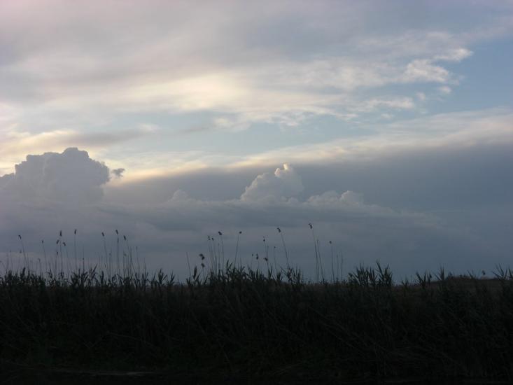Стара Некрасівка з panoramio.com - Старая Некрасовка