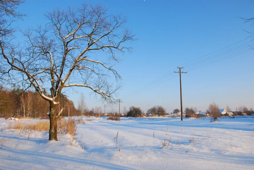 Олевськ з panoramio.com - Олевск