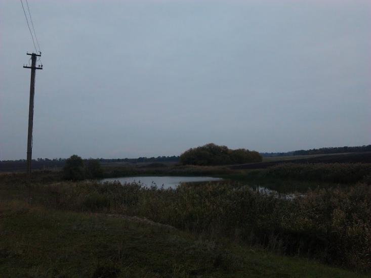 Новобешеве з panoramio.com - Новобешеве