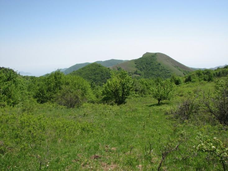 Міжріччя з panoramio.com - Міжріччя
