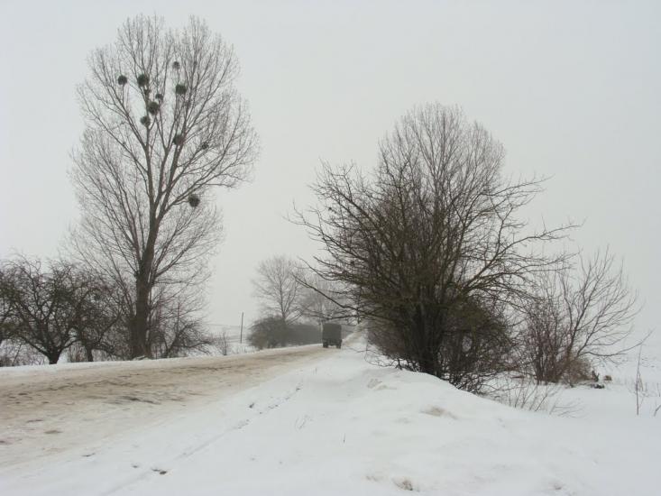 Колоденка з panoramio.com - Колоденка