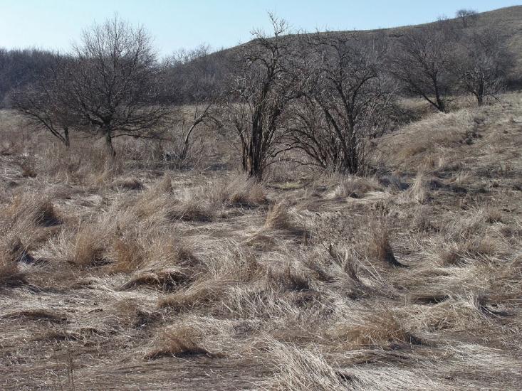 Півче з panoramio.com - Півче