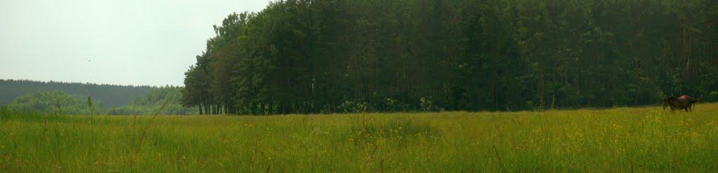 Нехворощ з panoramio.com - Нехворощ