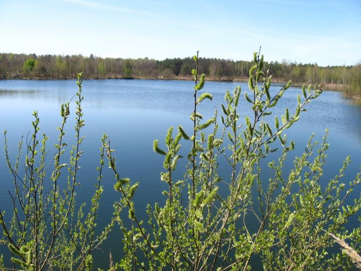 Стригани з panoramio.com - Стриганы