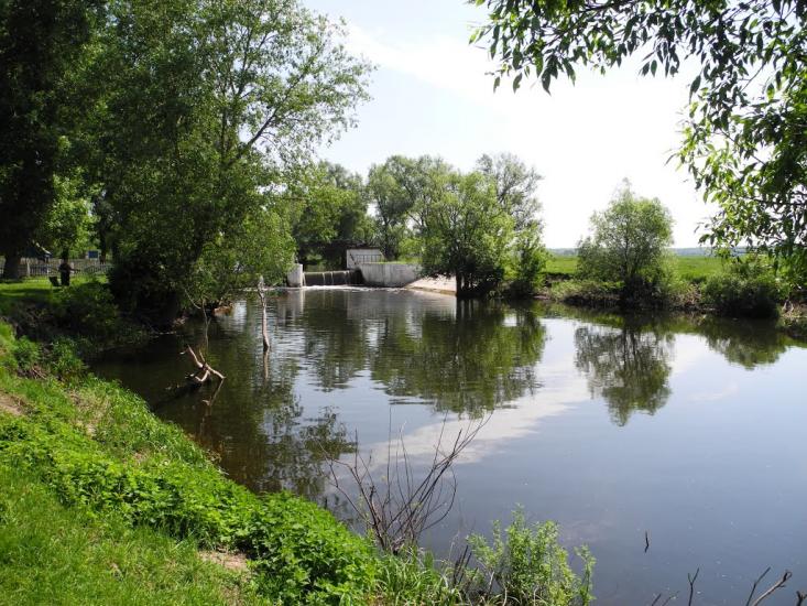 Литвиновичі з panoramio.com - Литвиновичі