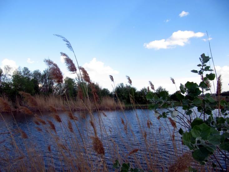 Шовкова Протока з panoramio.com - Шовкова Протока