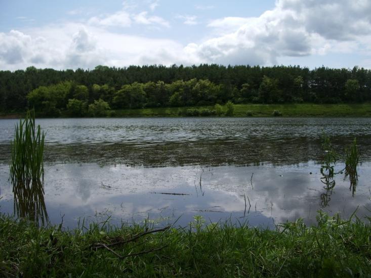 Личківці з panoramio.com - Лычковцы