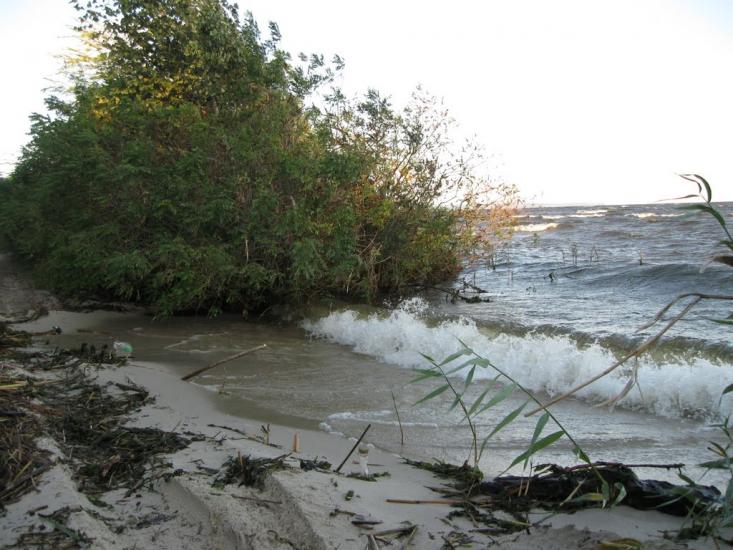 Ліпляве з panoramio.com - Лепляво