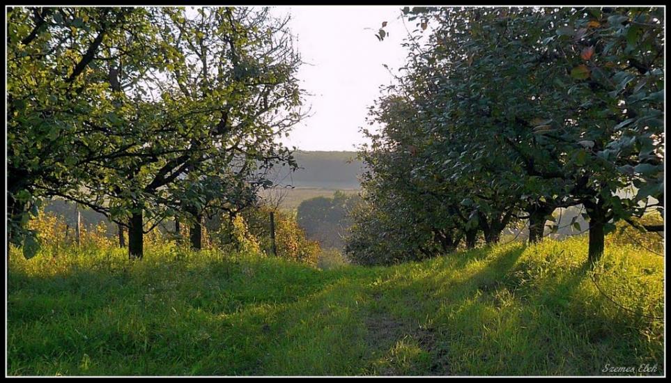 Астей з panoramio.com - Астей