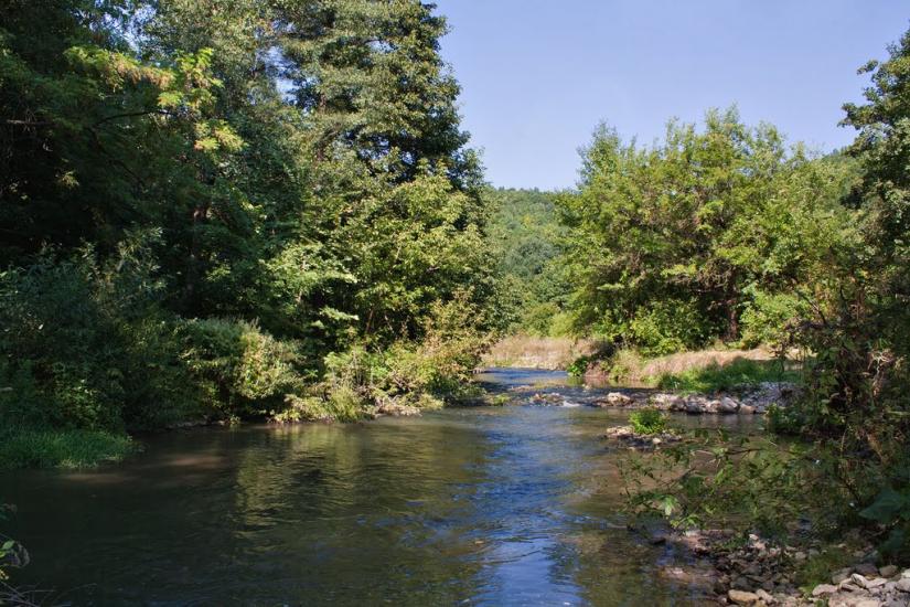 Суржинці з panoramio.com - Суржинці