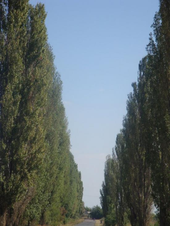 Матроська з panoramio.com - Матросская