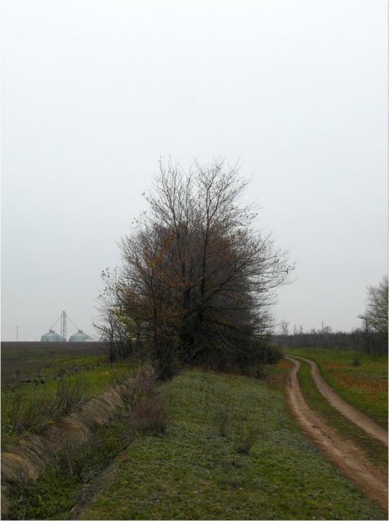 Златоустівка з panoramio.com - Златоустовка