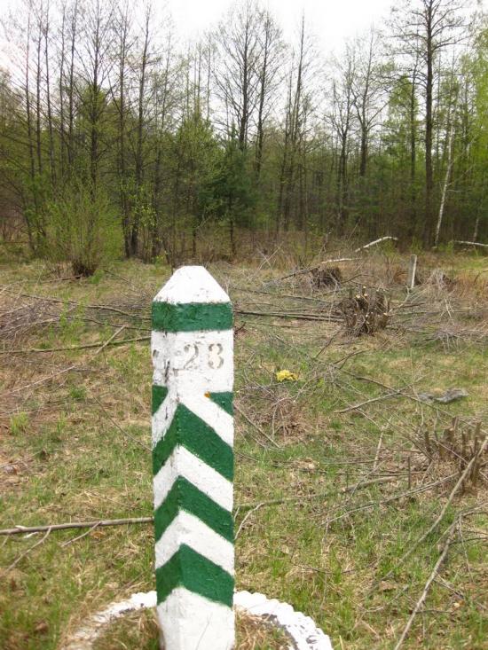 Малин з panoramio.com - Malyn