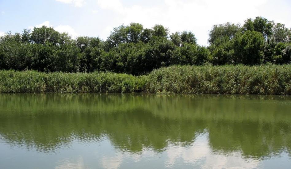 Широчани з panoramio.com - Shyrochany