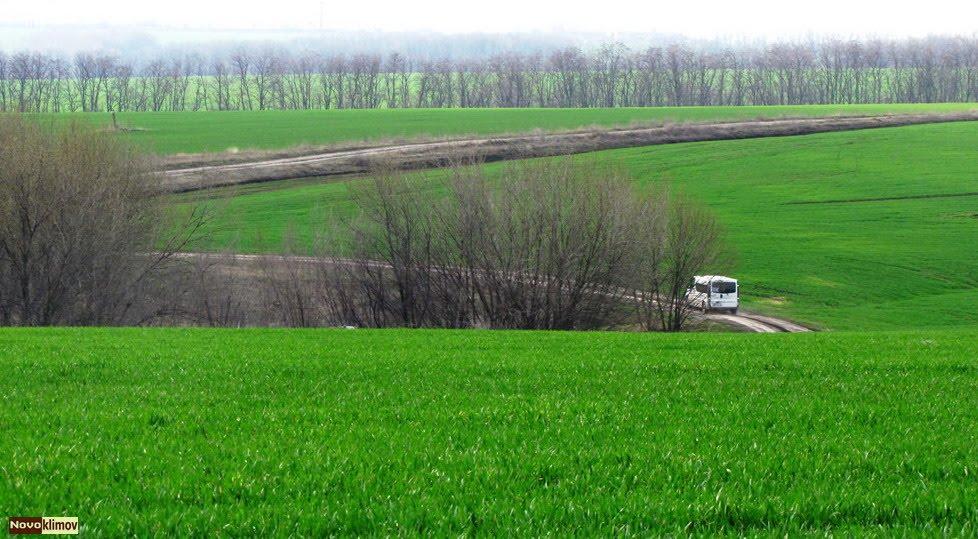 Сурсько-Литовське з panoramio.com - Sursko-Lytovske