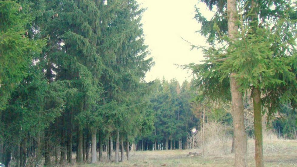 Кодня з panoramio.com - Кодня