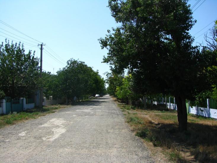 Окунівка з panoramio.com - Окуневка