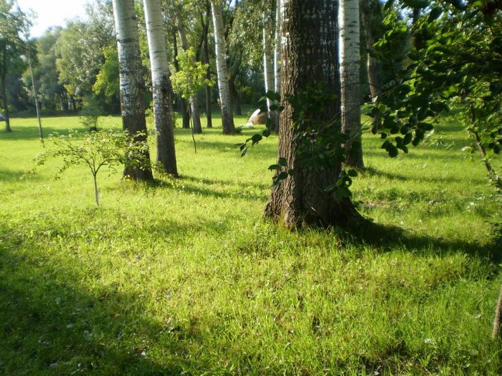 Білопілля з panoramio.com - Белополье