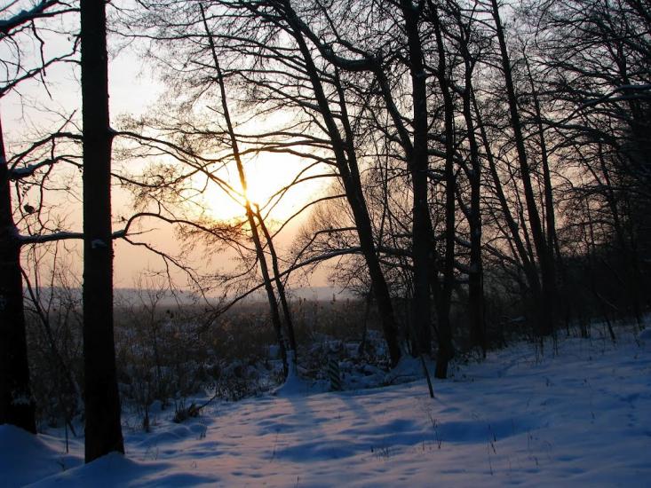 Волиця з panoramio.com - Волица