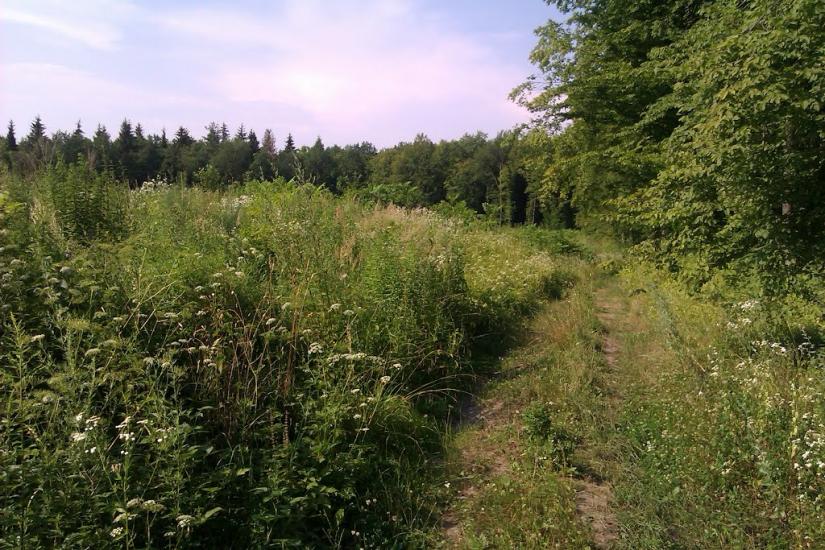 Заріцьк з panoramio.com - Заріцьк