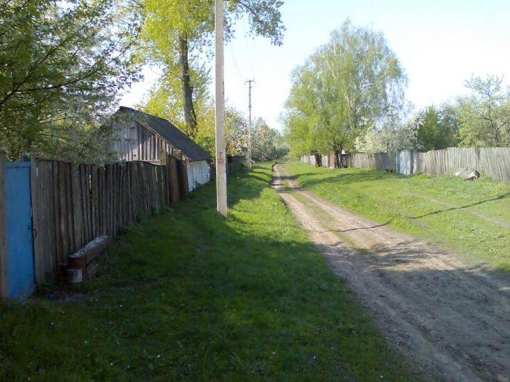 Литвиновичі з panoramio.com - Литвиновичи