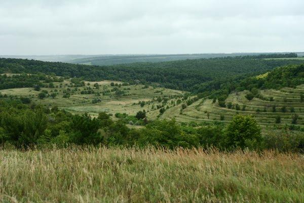 Бородаївські Хутори з panoramio.com - Бородаевские-Хутора