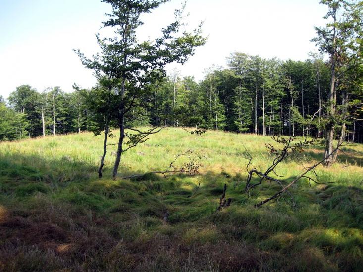 Вучкове з panoramio.com - Вучкове