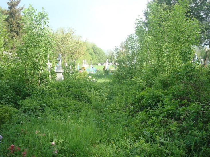 Рудка з panoramio.com - Рудка