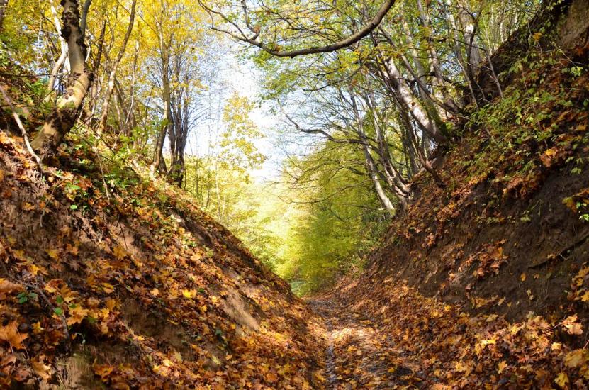 Поморяни з panoramio.com - Поморяны