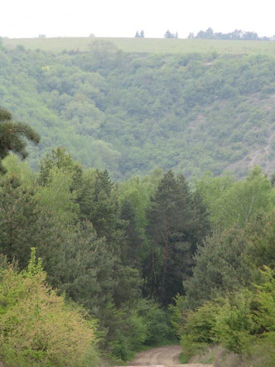 Касперівці з panoramio.com - Касперівці