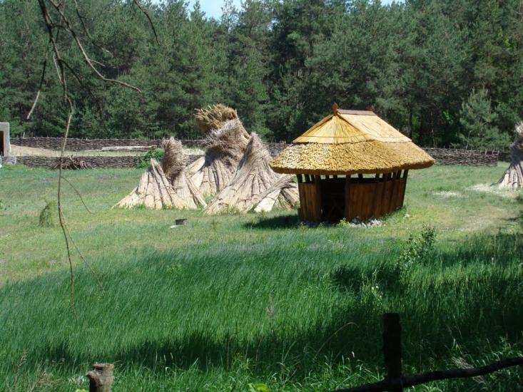 Тарасівка з panoramio.com - Тарасівка