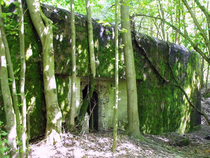Велика Любаша з panoramio.com - Велика Любаша