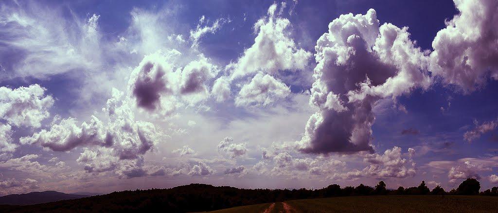 Забрідь з panoramio.com - Забродь