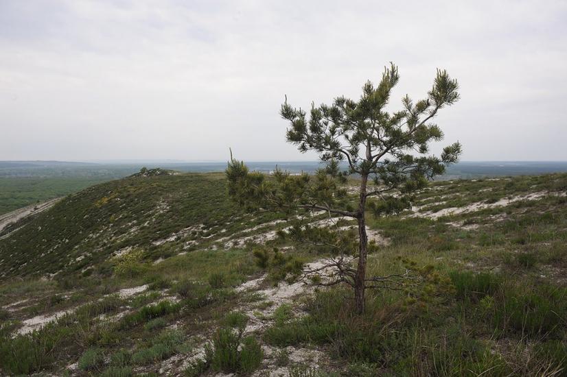 Закітне з panoramio.com - Закотное