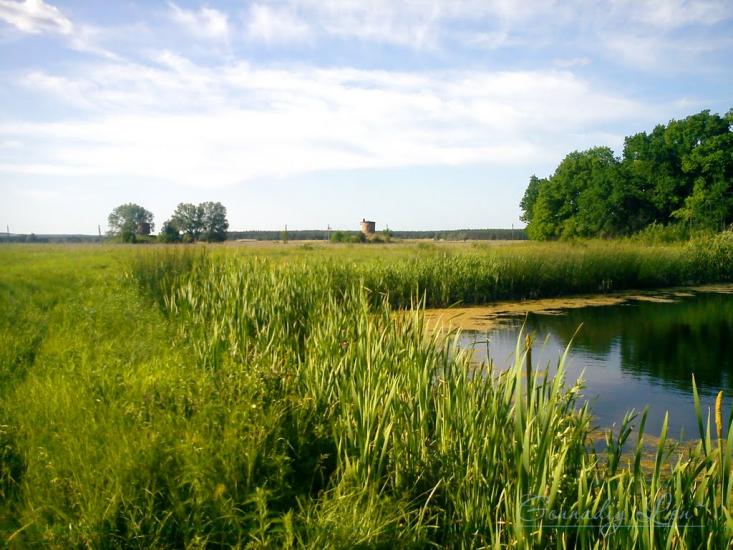 Донецьке з panoramio.com - Донецкое