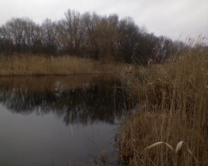 Спаське з panoramio.com - Спасское