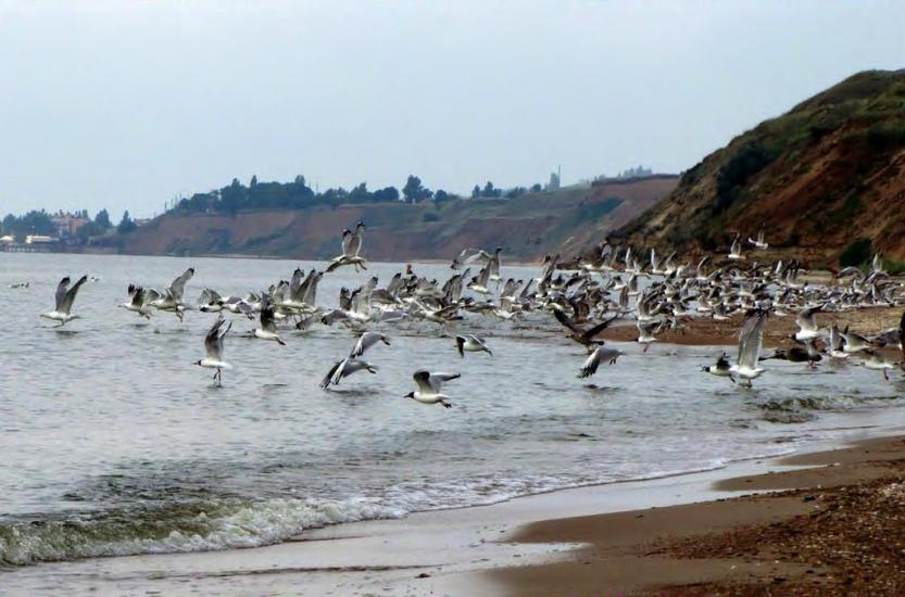 Саханка з panoramio.com - Саханка