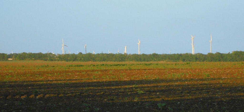 Безіменне з panoramio.com - Безіменне