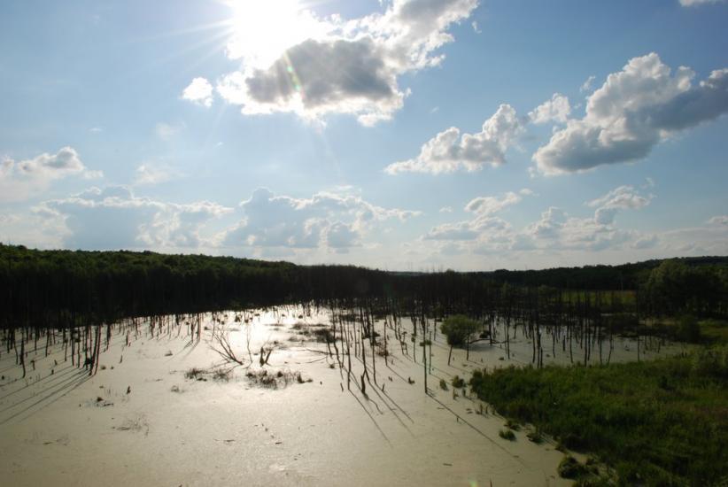 Просяне з panoramio.com - Просяне