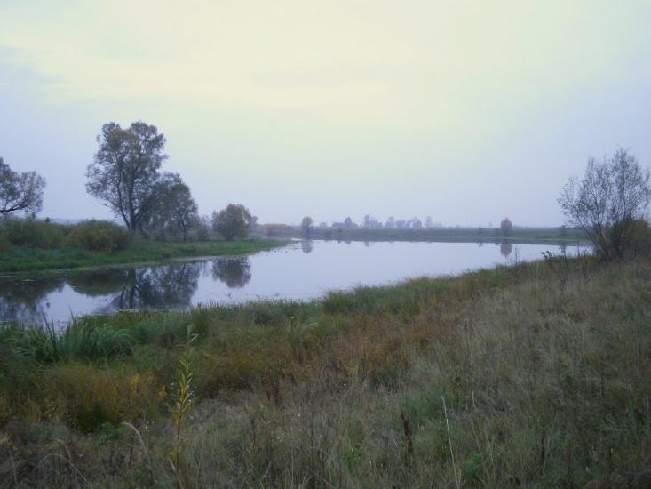 Вища Дубечня з panoramio.com - Высшая Дубечня