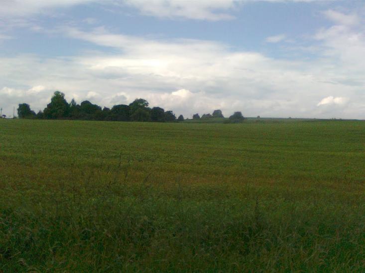 Підвисоке з panoramio.com - Підвисоке