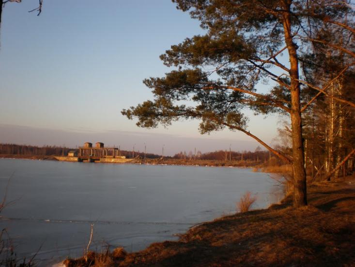 Нова Борова з panoramio.com - Новая Боровая