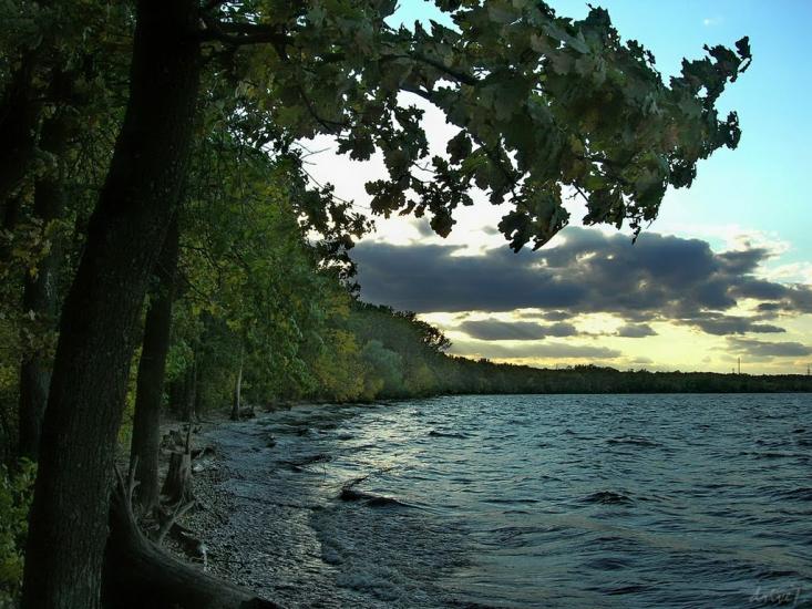 Зелений Гай з panoramio.com - Зеленый Гай