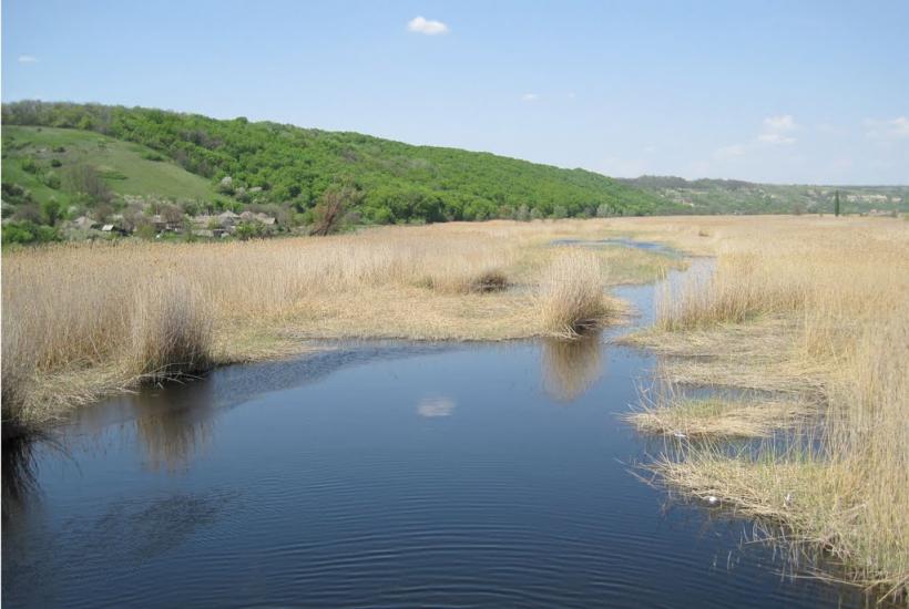 Красноріченське з panoramio.com - Красноріченське