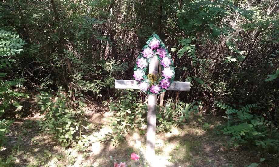 Софіївка з panoramio.com - Софиевка