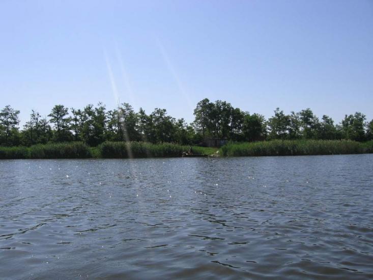 Арбузинка з panoramio.com - Арбузинка