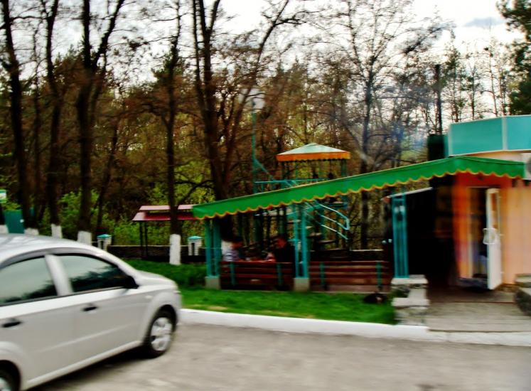 Довгалівське з panoramio.com - Довгалевское