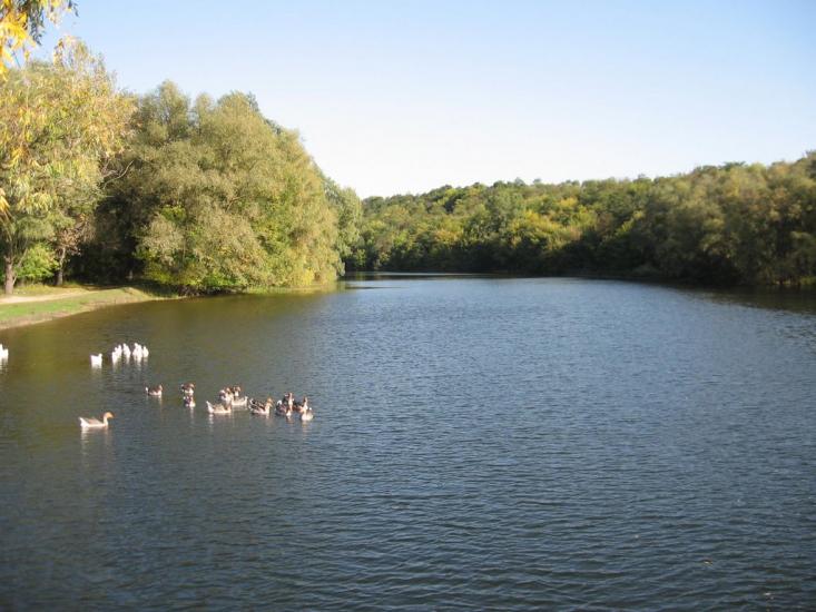 Остап'є з panoramio.com - Остапье