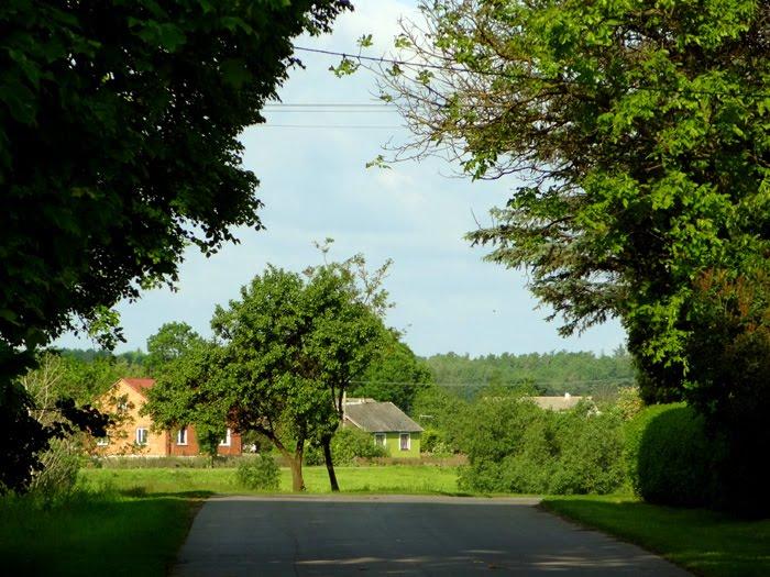 Стаївка з panoramio.com - Стаївка